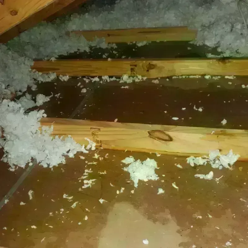 Attic Water Damage in Dickson County, TN